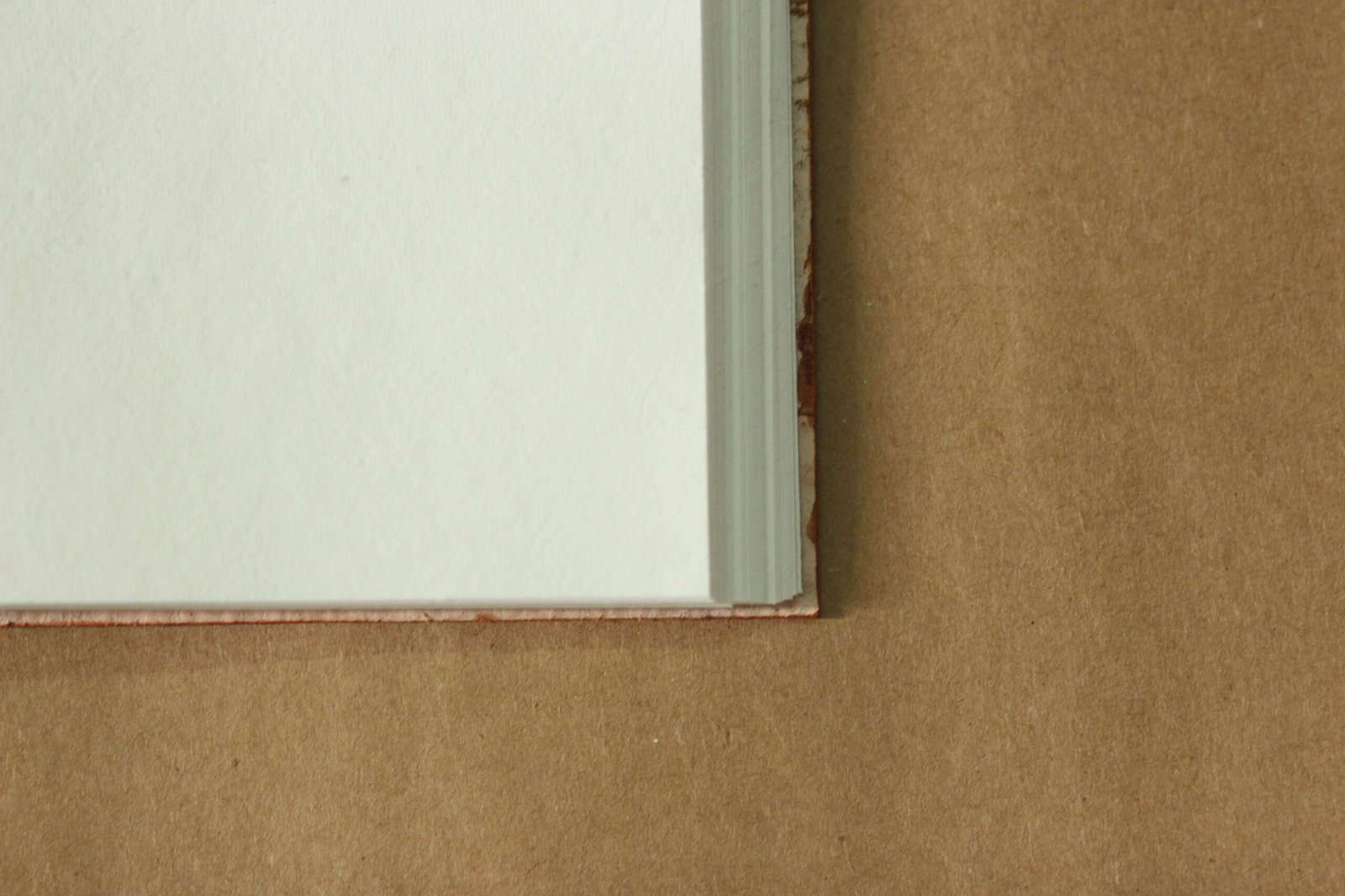 Diary - Image 3