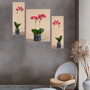 Set Of 3