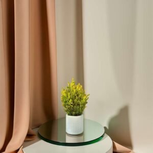 Artificial Plants with Pot Showcase Decoration Plants Flowers | Fake Plant | Artificial Plants for Home Decor Office Gifting Plants Decorative Potted Plants (Pack Of 3) (RV-AP18)